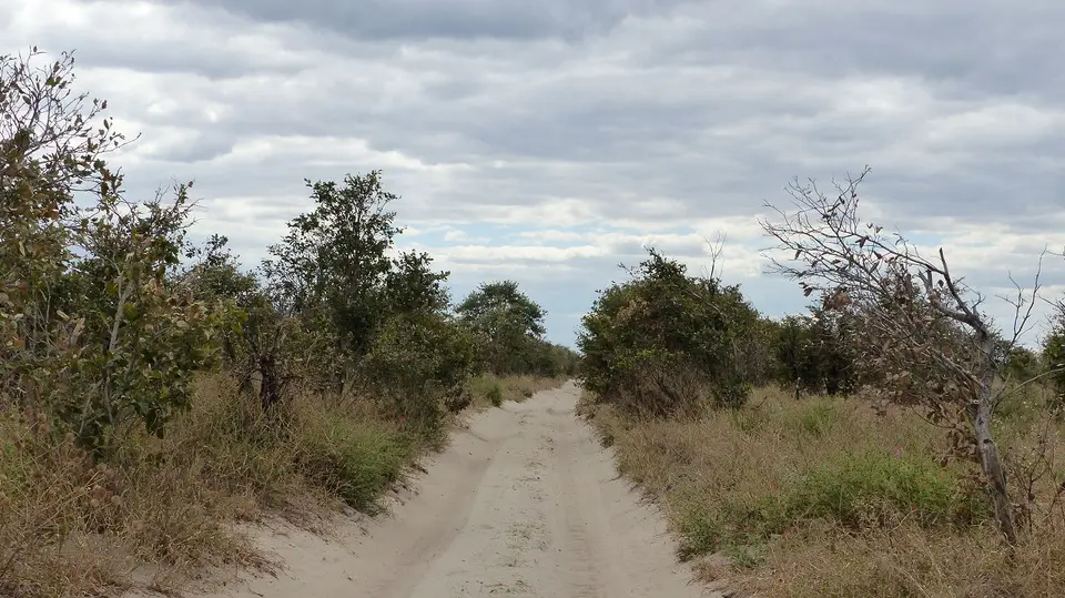 k-P1090717.JPG