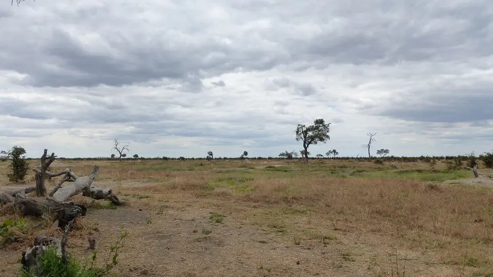 k-P1090723.JPG