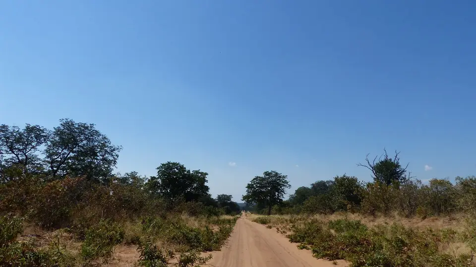 k-P1090954.JPG