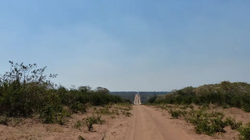 k-P1090955.JPG