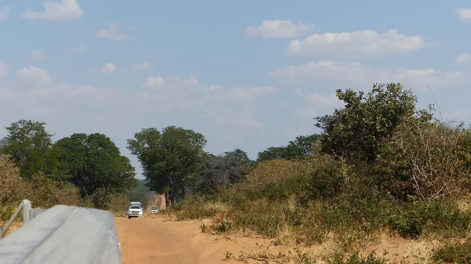 k-P1090956.JPG