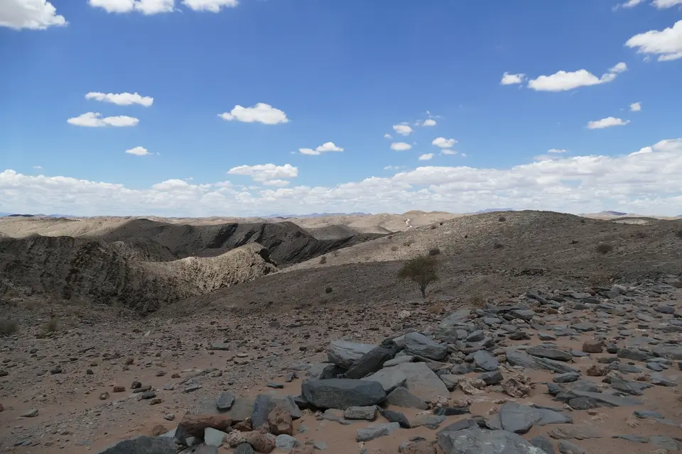 k-P1110093.JPG