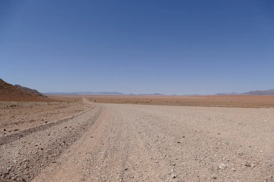 k-P1110193.JPG