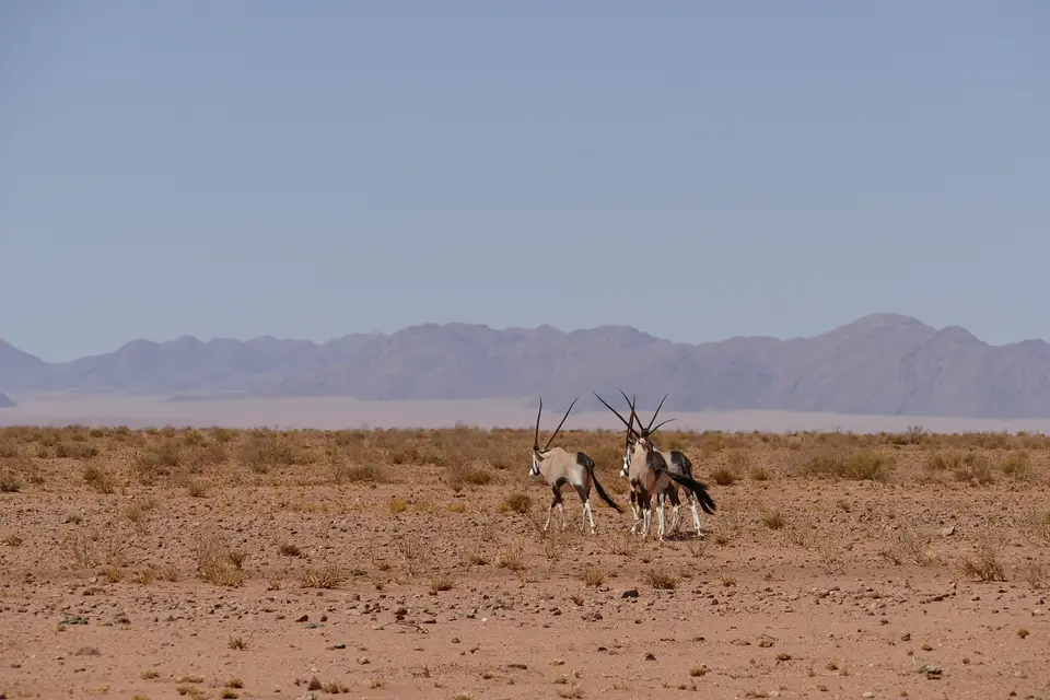 k-P1110195.JPG
