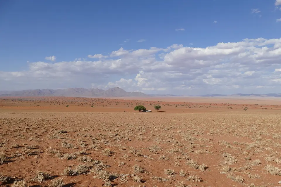k-P1110213.JPG