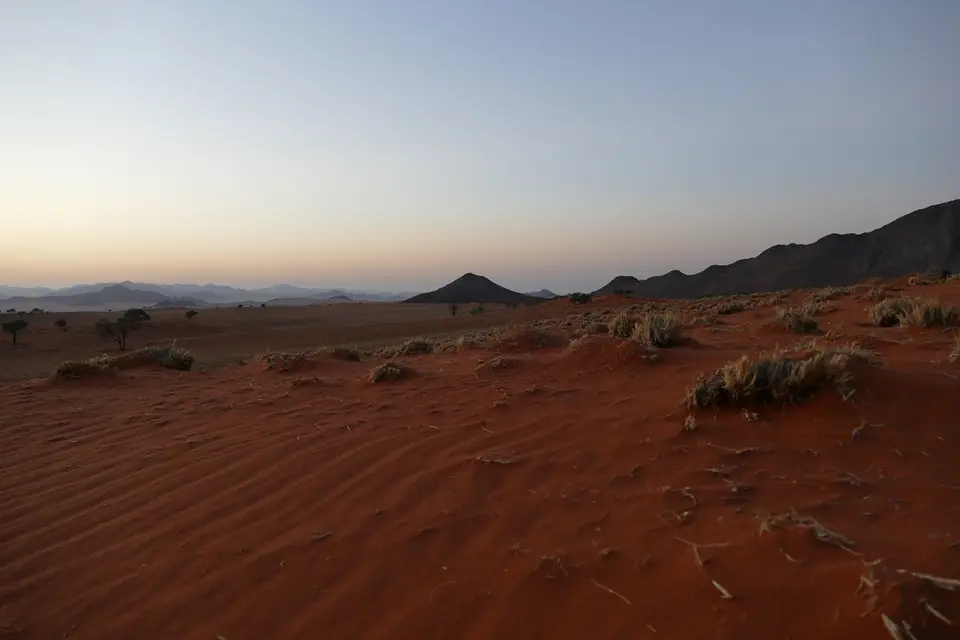 k-P1110245.JPG