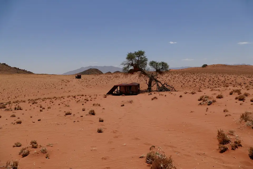 k-P1110288.JPG