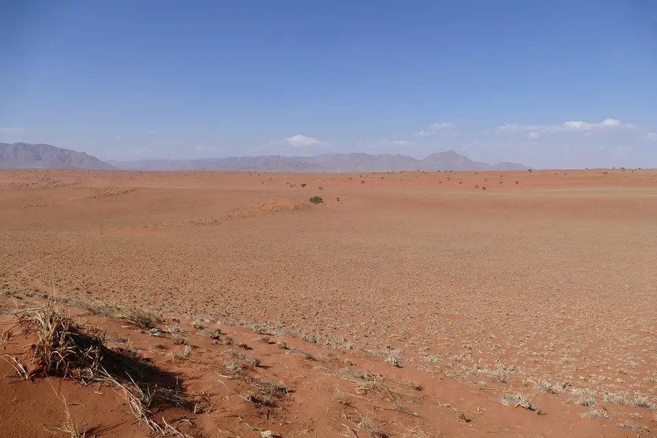 k-P1110292.JPG