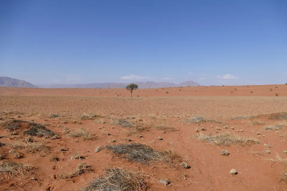 k-P1110313.JPG