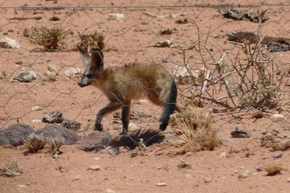 k-P1110359.JPG