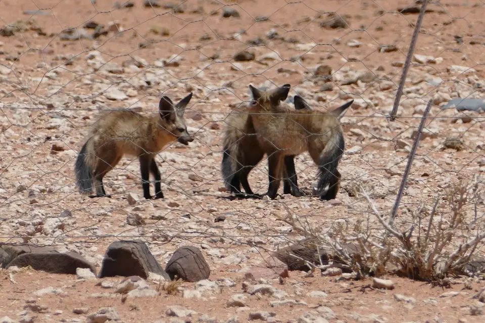 k-P1110366.JPG