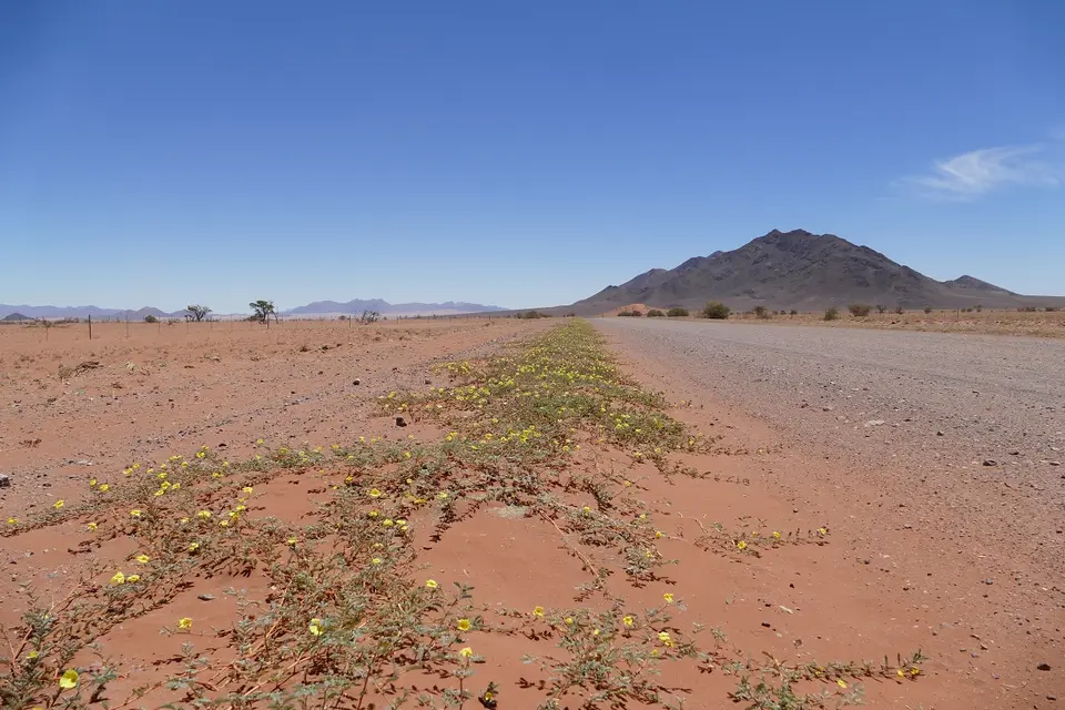 k-P1110375.JPG