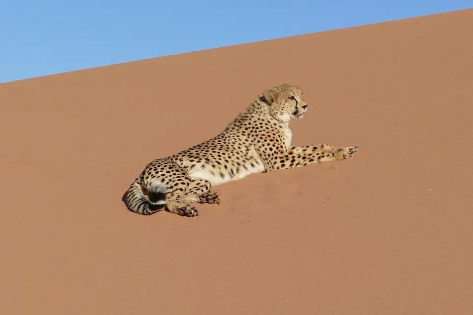 k-P1110491.JPG