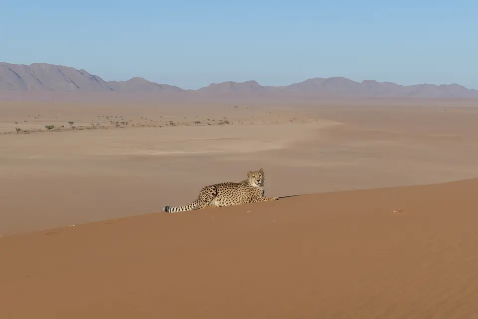 k-P1110493.JPG