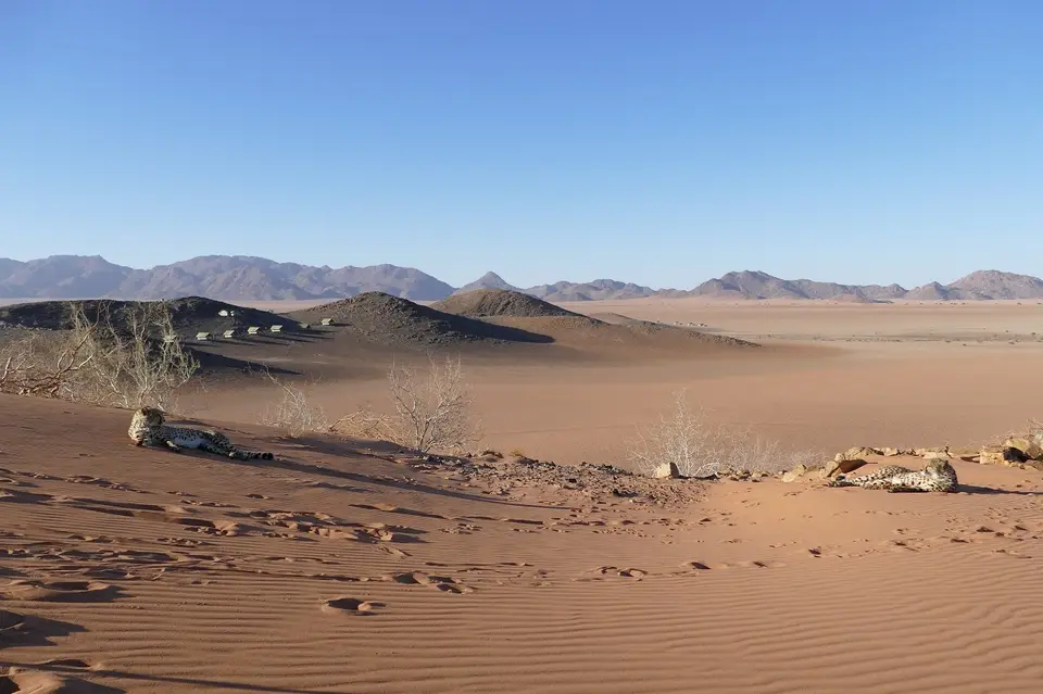 k-P1110560-2.JPG