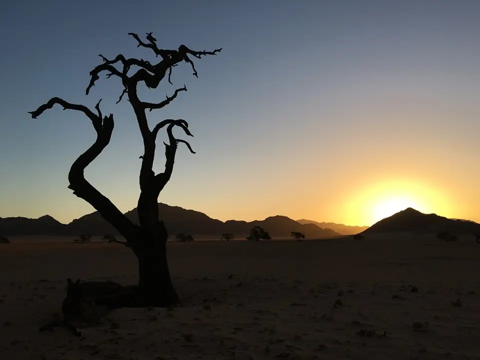 k-P1110773.JPG