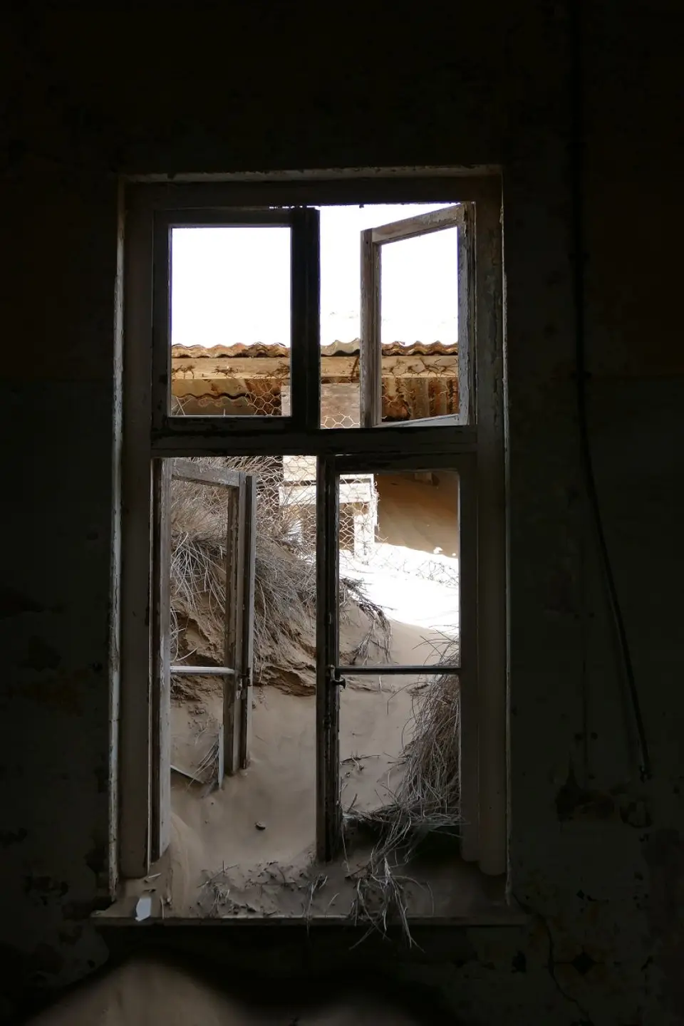 k-P1120071.JPG