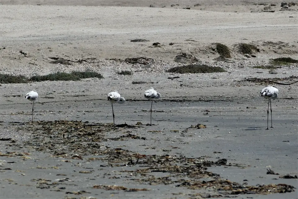 k-P1120129.JPG
