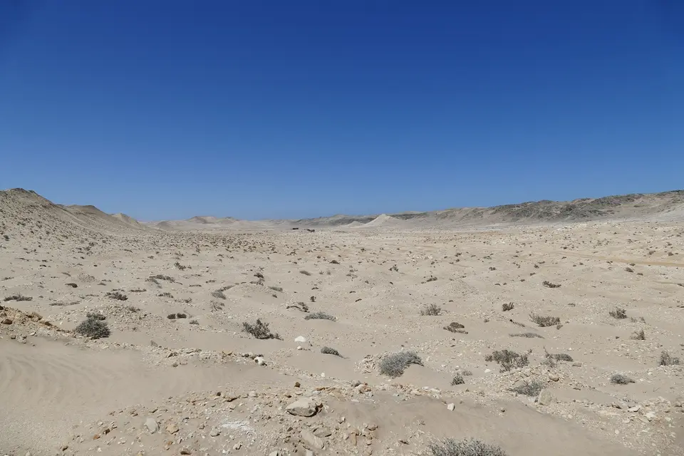 k-P1120207.JPG