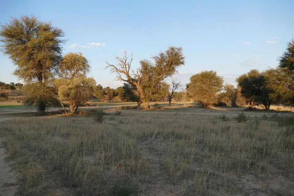 k-P1120490.JPG