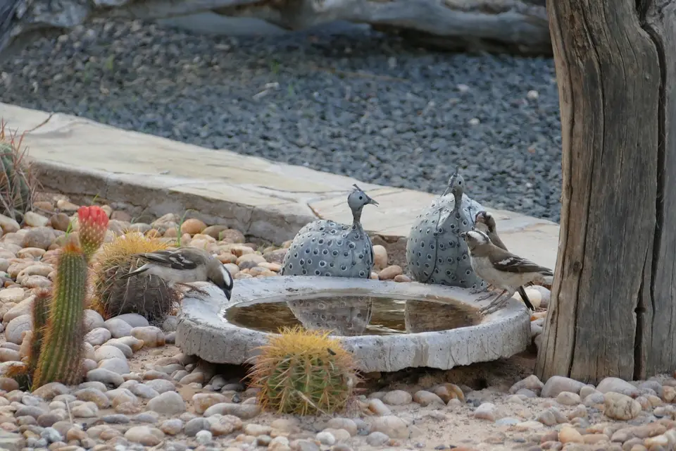 k-P1120492.JPG