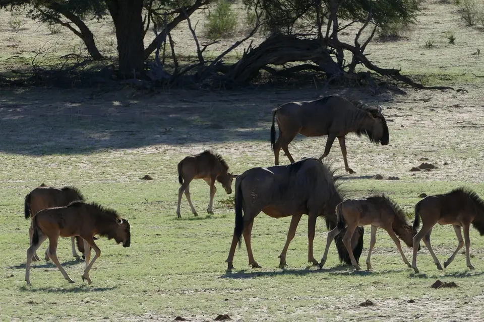 k-P1120672.JPG