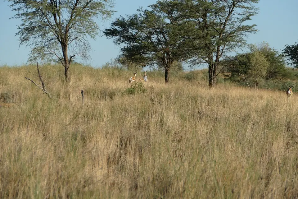k-P1120791.JPG