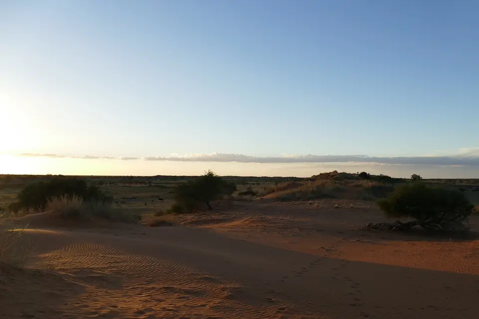 k-P1130194.JPG