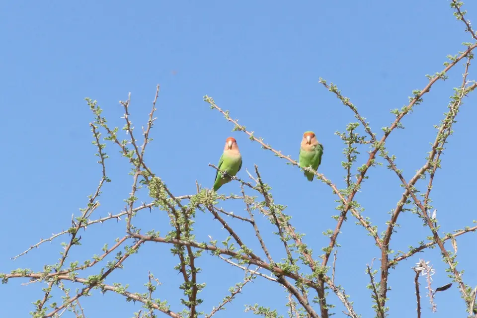 k-P1130276.JPG