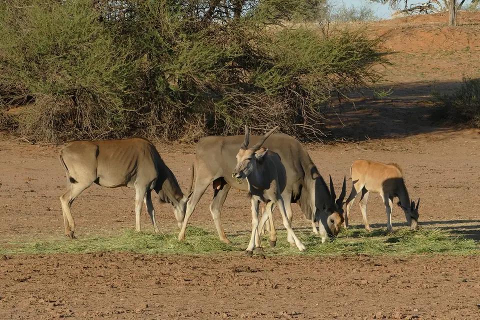 k-P1130336.JPG