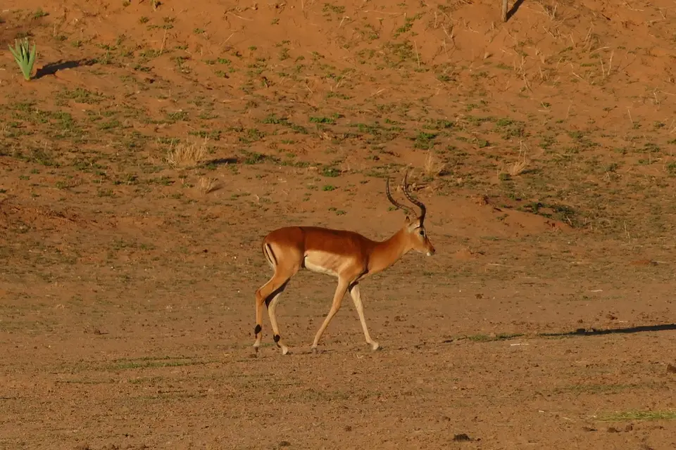 k-P1130378.JPG
