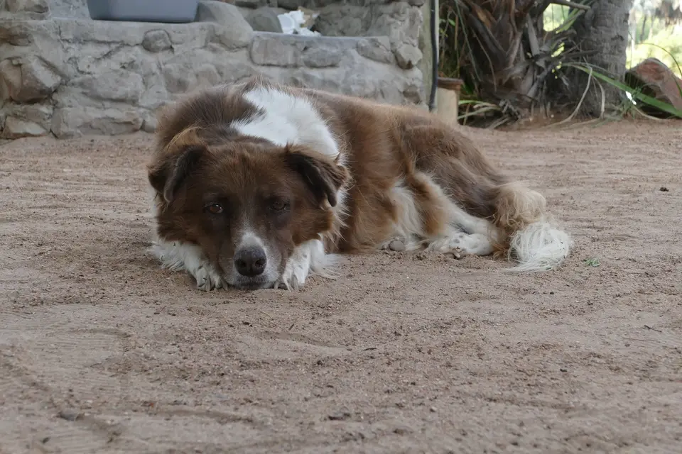 k-P1140569.JPG