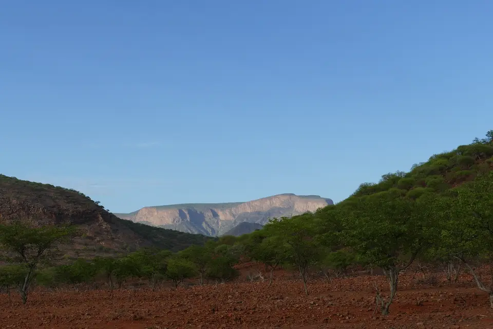k-P1140654.JPG