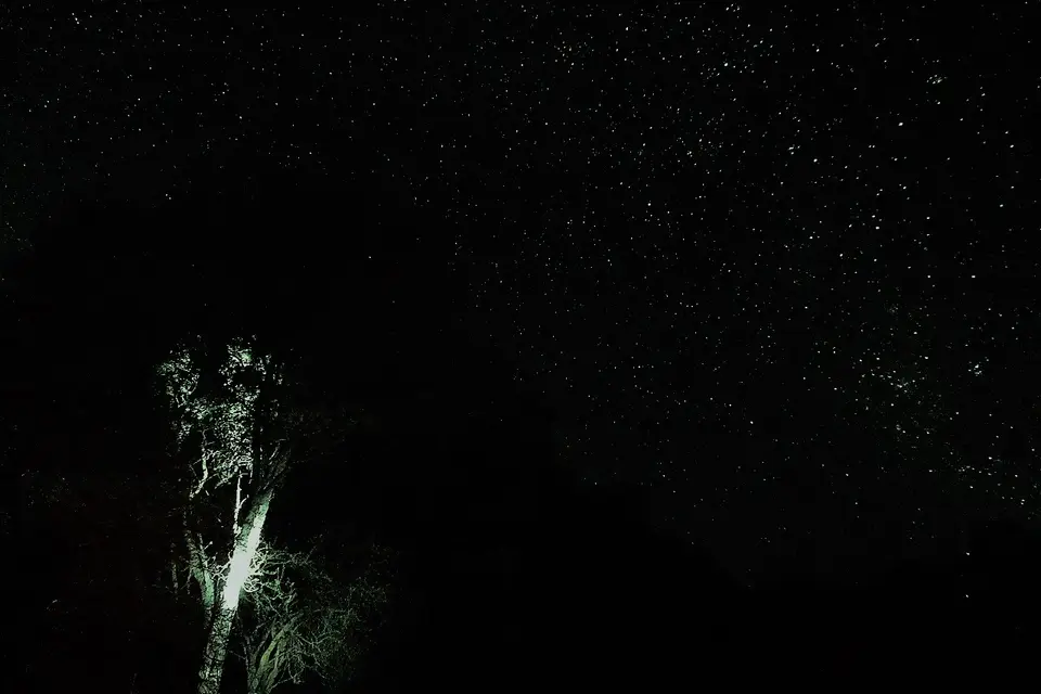 k-P1140882A.jpg
