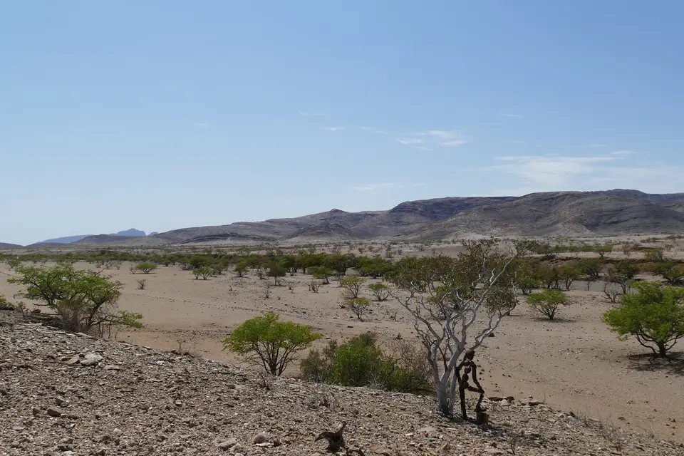 k-P1150177.JPG