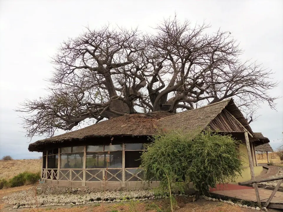 k-k-P1060610.JPG