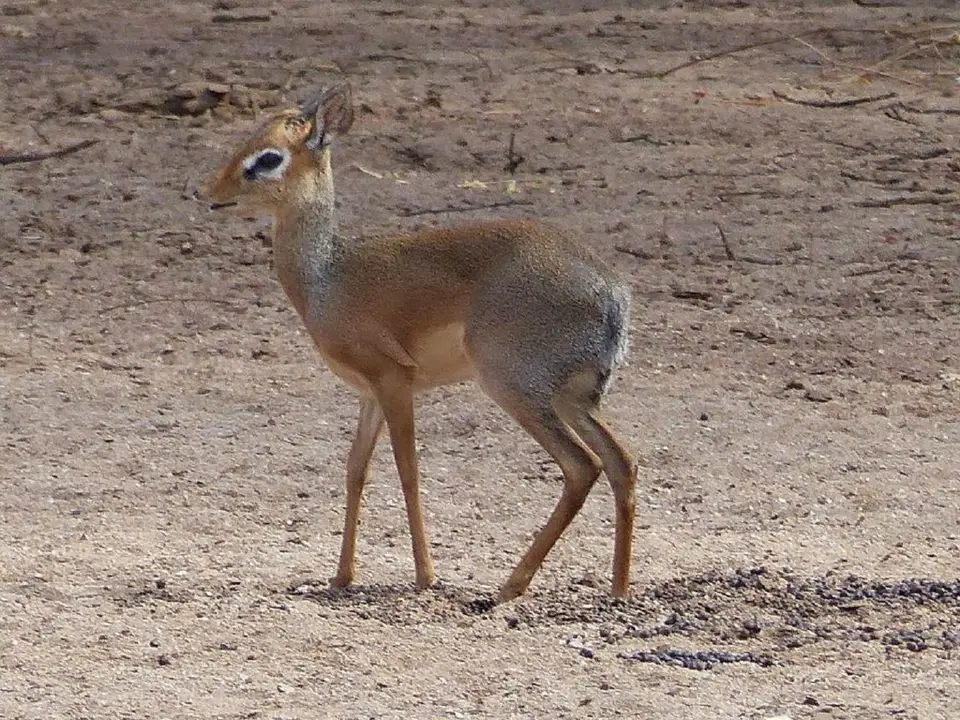 k-k-P1060759.JPG