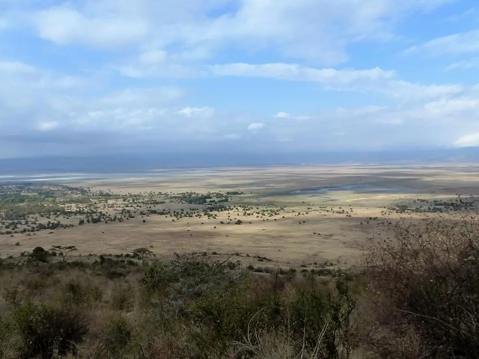 k-k-P1070155.JPG
