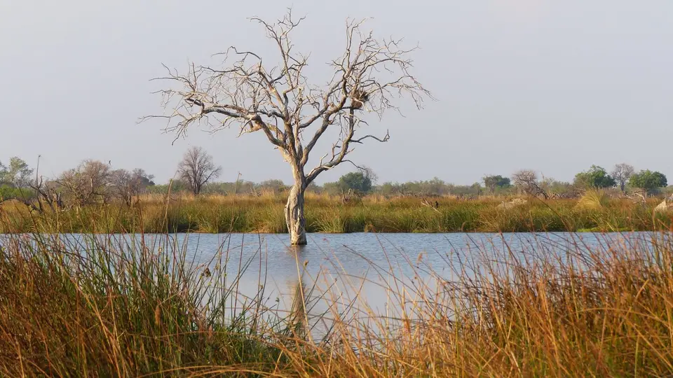 P1000427.JPG