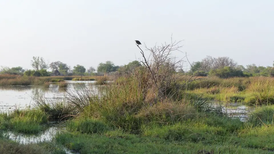 P1000477.JPG
