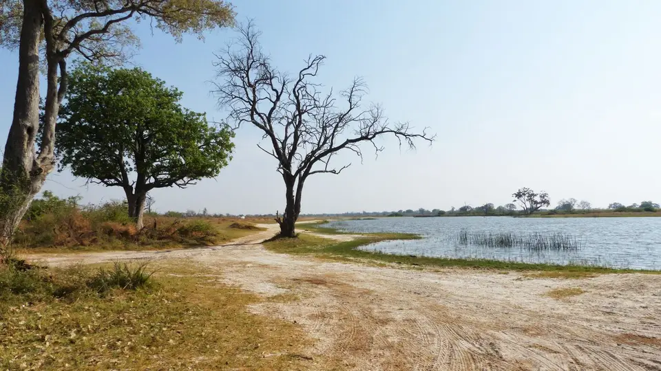 P1000630.JPG