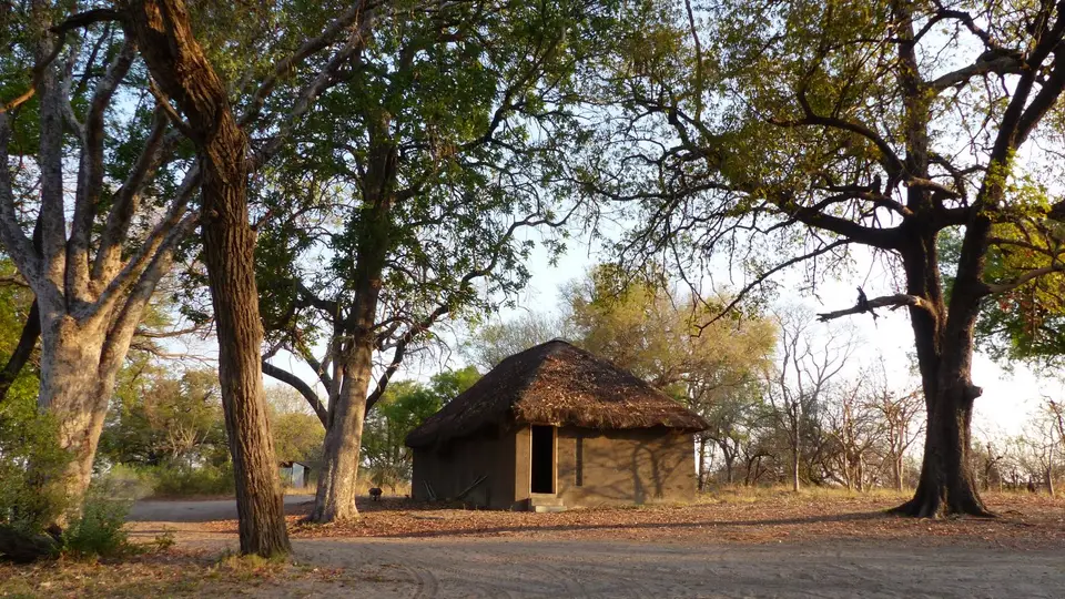 P1000777.JPG