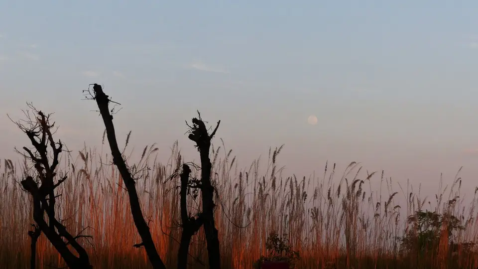 P1000794.JPG