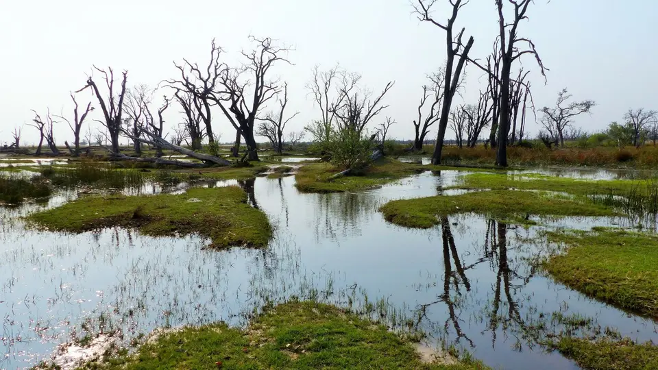 P1000836.JPG