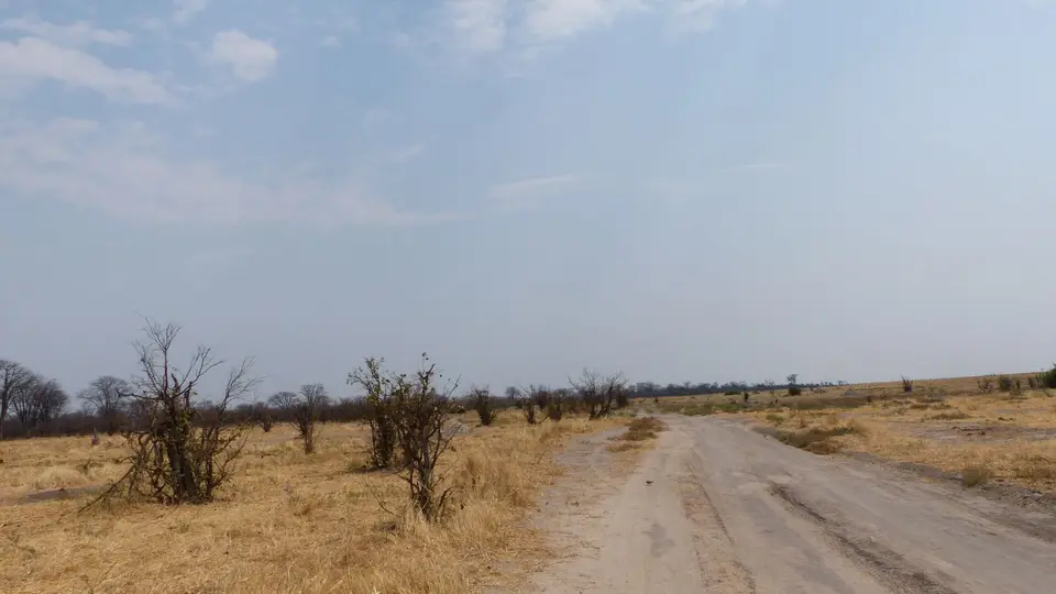 P1010259.JPG