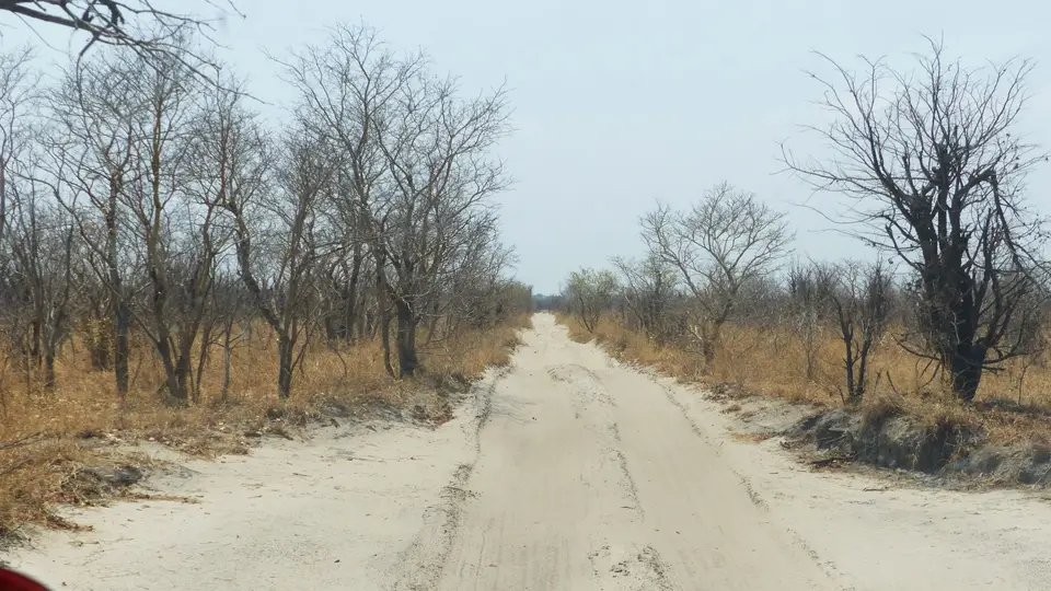 P1010276.JPG