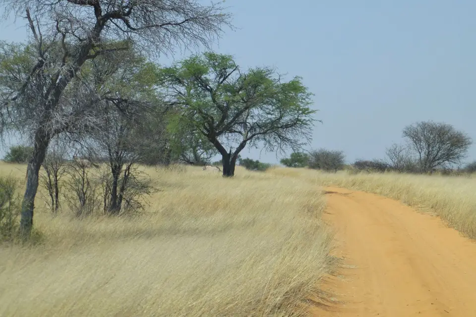 P1080006.JPG