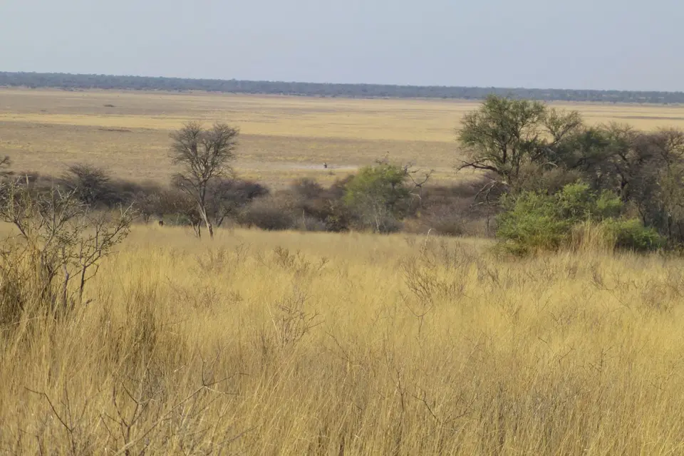 P1080026.JPG