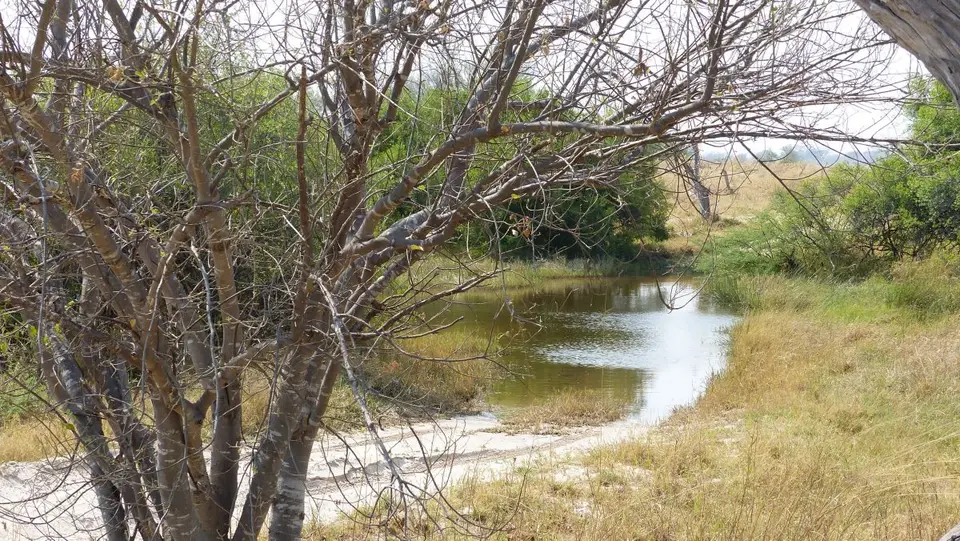 h3312227.JPG