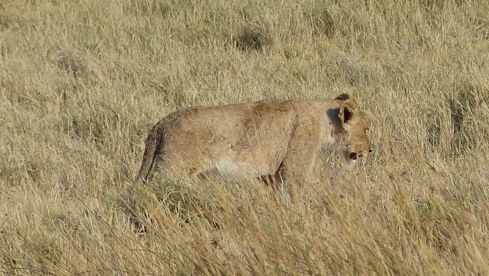 h367190c.JPG